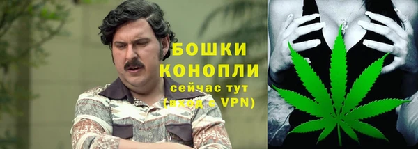 винт Долгопрудный