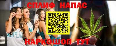 гашик Гусь-Хрустальный