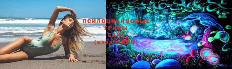 Галлюциногенные грибы Cubensis Карасук