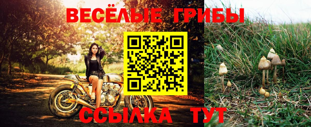 Псилоцибиновые грибы прущие грибы  Вход с VPN  Галлюциногенные грибы Psilocybine cubensis  Карасук 