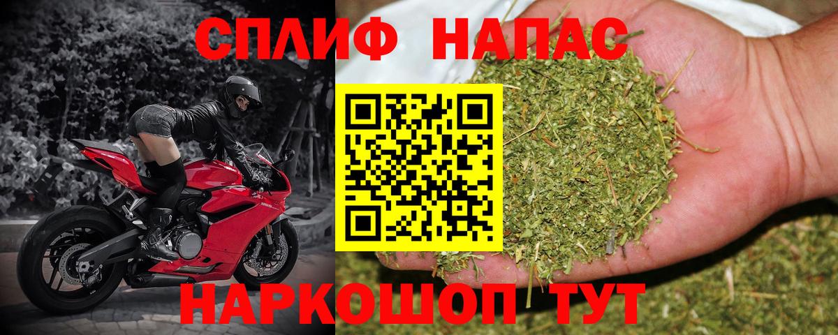 A PVP Карасук